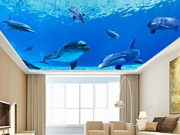 Натяжной потолок с фотопечатью