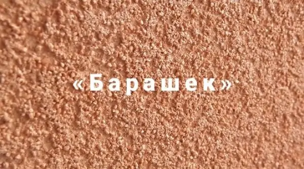 Отделка фасада частного дома в&nbsp;Армавире - барашек