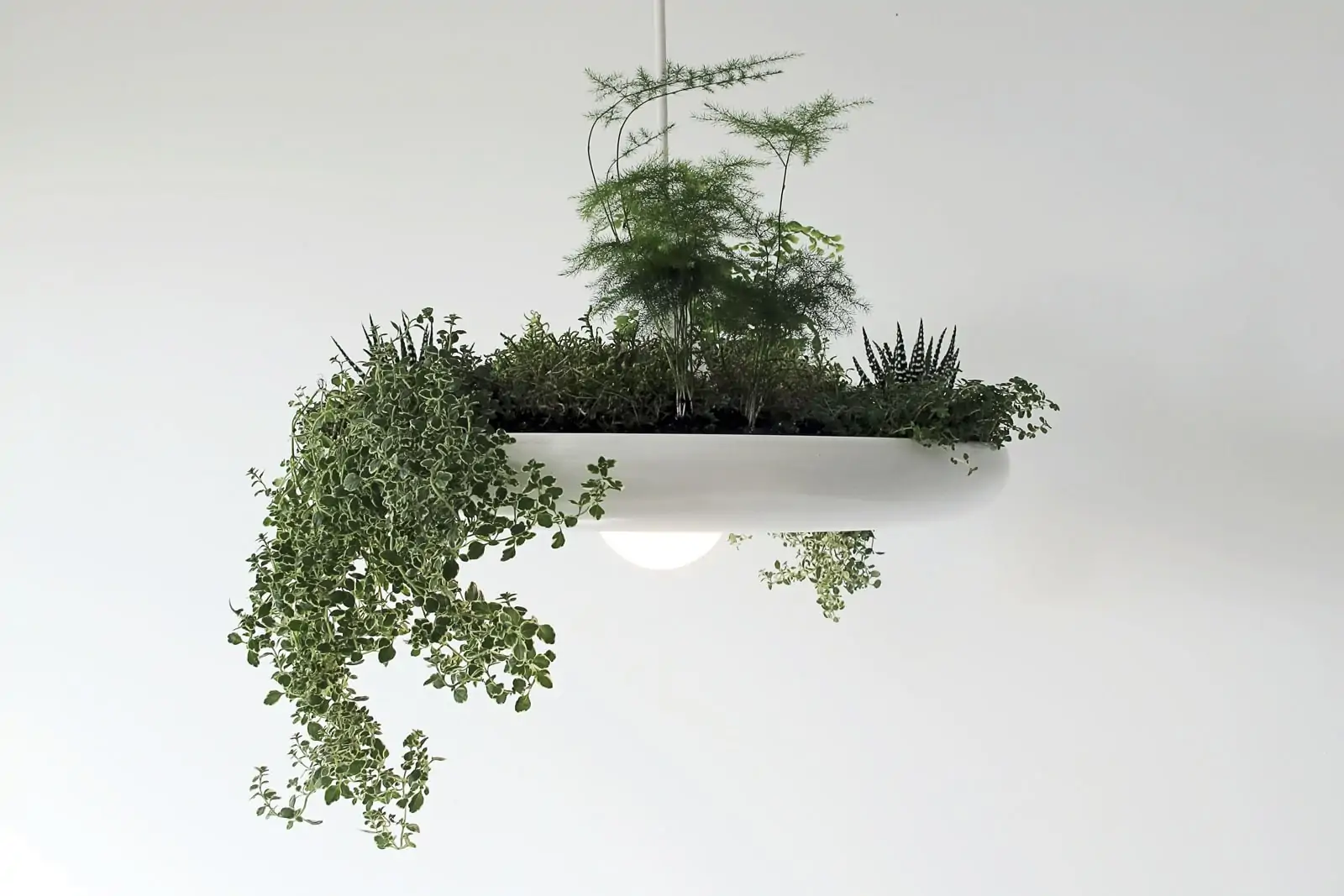 Подвесной контейнер с лампой