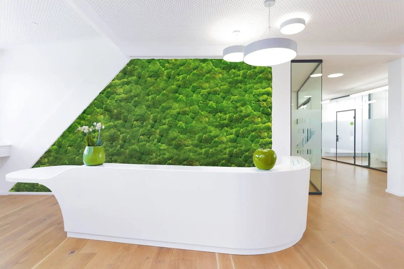 Экостена из мха