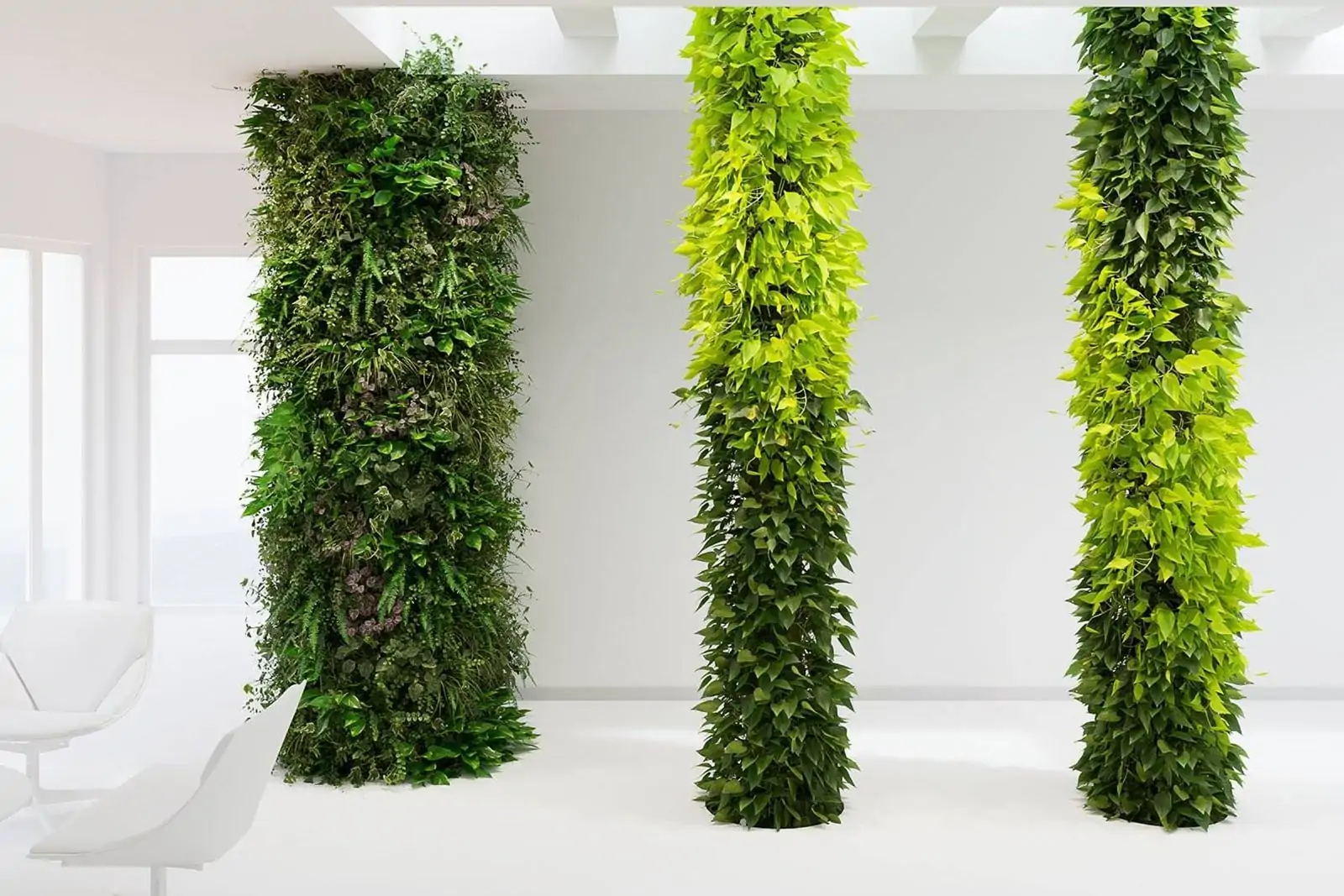 Вертикальное озеленение