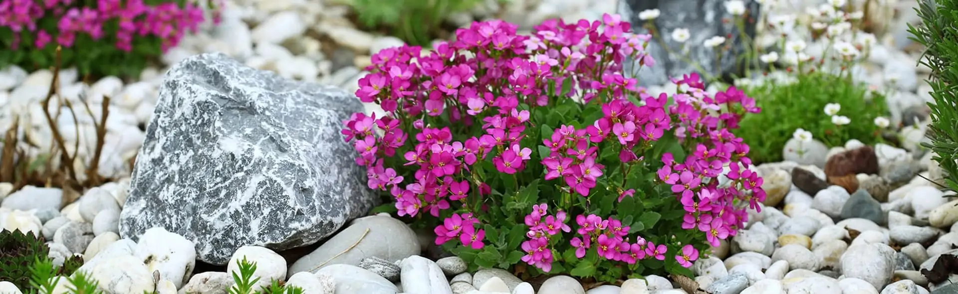 Альпинарий